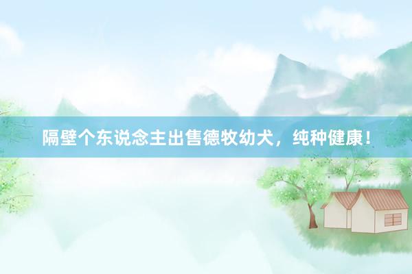 隔壁个东说念主出售德牧幼犬，纯种健康！